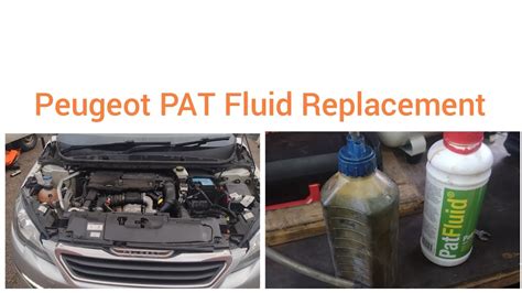 Peugeot 308 pat fluid refill.  Free delivery on eligible orders.  £20 difference seems ...