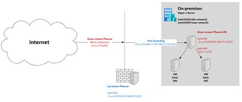 Pfsense default nat reflection.  I've got the default reflection setup in System -&...