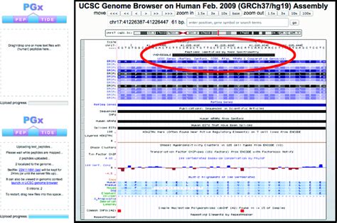 Pgx query vs exec.  What I have now for CRUD: Read: pgxscan.  Does this ...