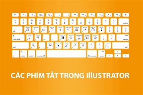 Phím tắt trong AI (Adobe Illustrator)