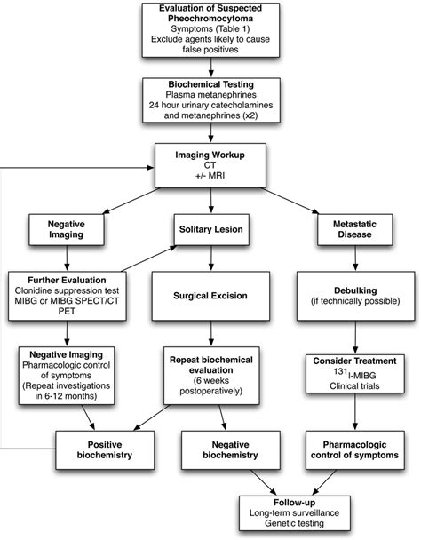 Phaeochromocytoma Diagnosis And Management