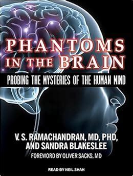 Full Download Phantoms In The Brain Probing The Mysteries Of The Human Mind By Vs Ramachandran
