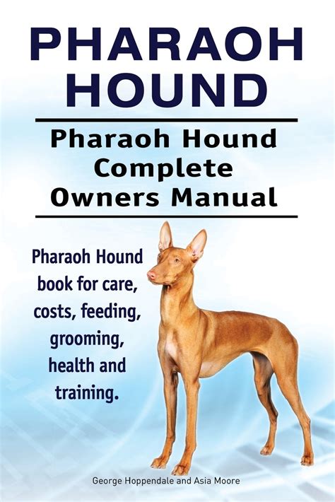 Pharaoh hound pharaoh hound complete owners manual pharaoh hound book for care costs feeding grooming health and training. - Egyenlő bánásmód elvének és a hátrányos megkülönböztetés tilalmának jogi szabályozása.