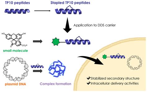 Pharmaceuticals Free Full-Text Small Molecule–Peptide ... - MDPI