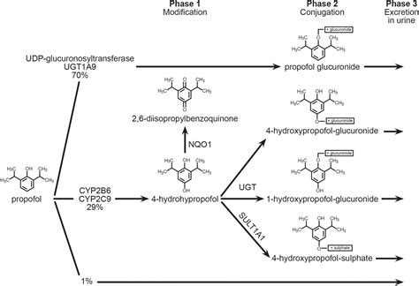 Pharmacokinetics and pharmacodynamics of propofol/alfentanil infusions ...