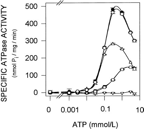 Pharmacological and immunohistochemical characterization …