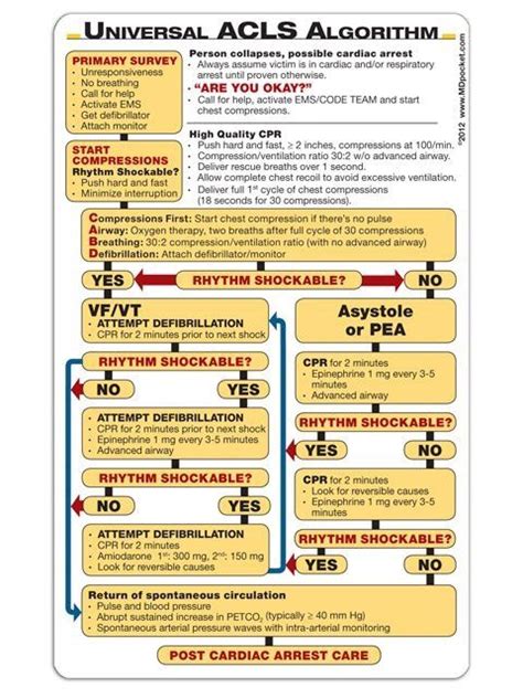 Pharmacology Cheat Sheet Acls Algorithm Acls Acls Cheat Sheet Images