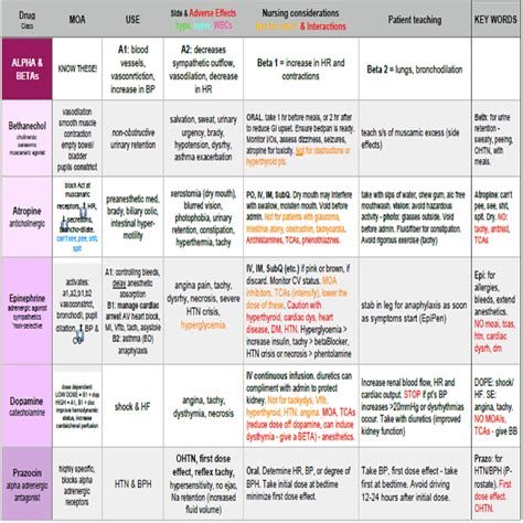 Pharmacology Study Guide to Pass BSN Pharmacology Class 20 Etsy