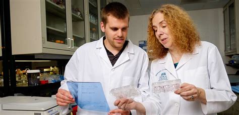 Pharmacology and toxicology phd programs. Things To Know About Pharmacology and toxicology phd programs. 