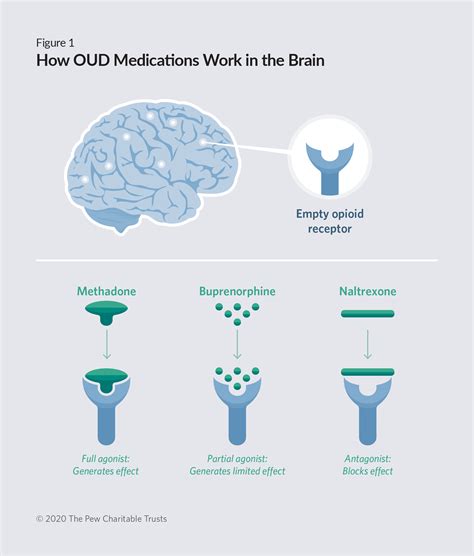 Pharmacology of medicines available for the treatment of opioid ...