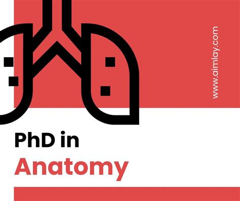 Phd in anatomy.  Students may also be required to undertake advanced studi...
