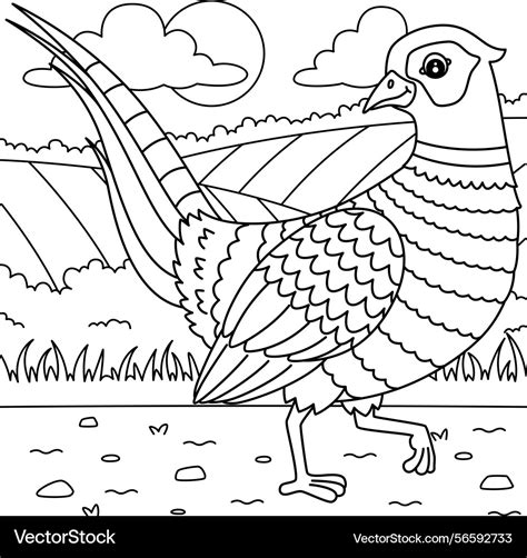 Pheasant Coloring