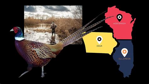 Pheasant Status Report 2024 - dnr.illinois.gov