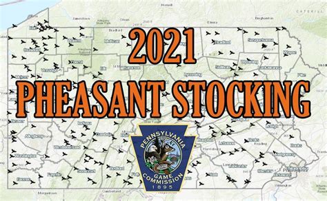 Pheasant stocking schedule nj 2022. Aug 3, 2023 · This responsible use of funding permits the agency to expand communication and outreach efforts with the sportsmen and women who enjoy our wildlife resources. To advertise in upcoming issues of the Digest (freshwater fishing, marine or hunting), contact J. F. Griffin Media at 413-884-1001 or contact.form@jfgriffin.com. 