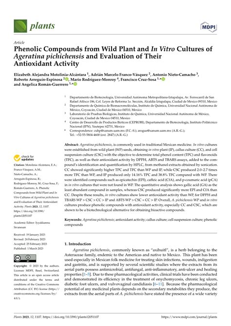 Phenolic Compounds from Wild Plant and In Vitro Cultures of …