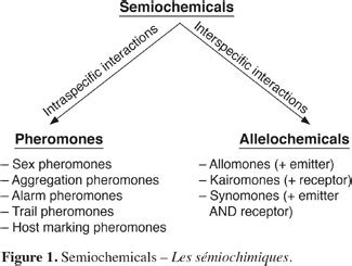 Pheromones and Semiochemicals of Laupala kohalensis