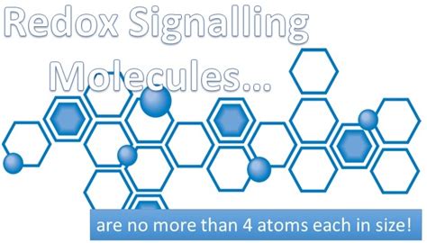 Phil McGee - Redox Signalling Molecule Consultant