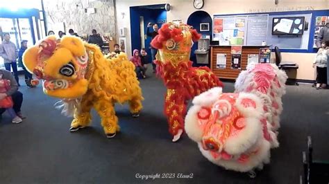 Philadelphia Suns Lion Dance