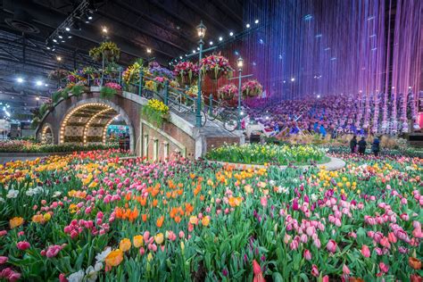 Philadelphia flower show. Mar 5, 2024 · Flowers float in the entrance to the Philadelphia Flower Show. These are not dainty bouquets dangling from fishing line. It took a tall ladder for florists to pack the 12-foot-tall arrangements ... 