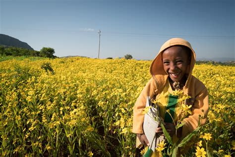 Philanthropy Partnership Lead, Scotland - Unicef