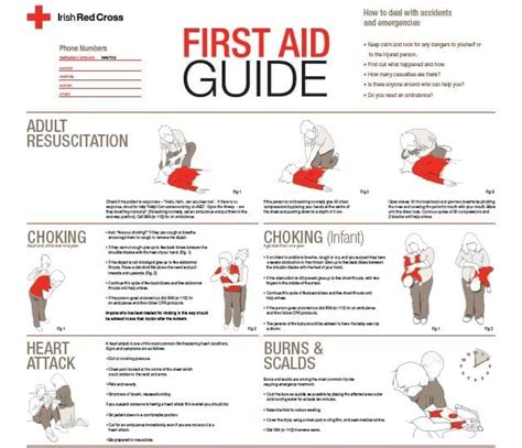 Philippine red cross first aid manual. - 01 suzuki king quad 300 service manual.