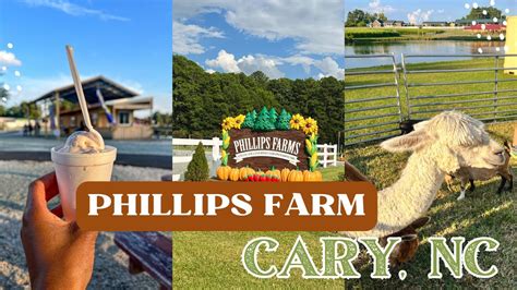 Phillips Farms Of Cary on Instagram: "ICYMI: We