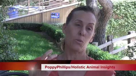 Phillips Poppy Whats App Houston