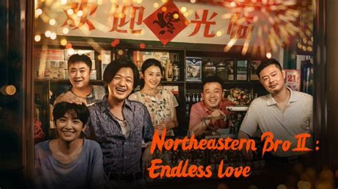 Phim northeastern bro ii endless love thuyết minh, vietsub