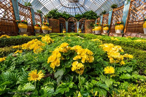 Phipps Conservatory and Botanical Gardens on Twitter