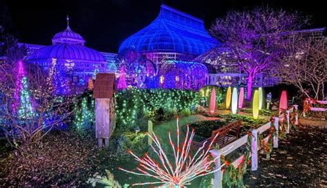 Phipps winter flower show set to begin on Nov. 18 Local ...