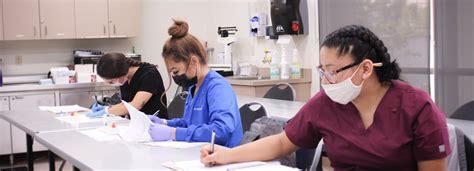 Phlebotomy Training Program U.S. Colleges