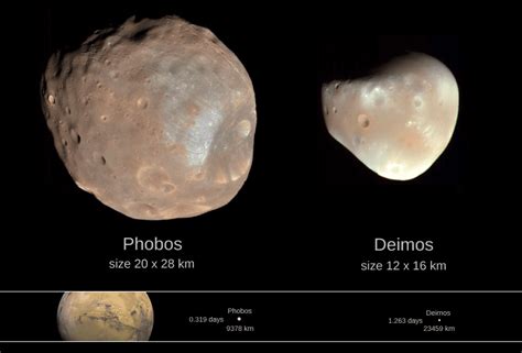 Phobos a deimos