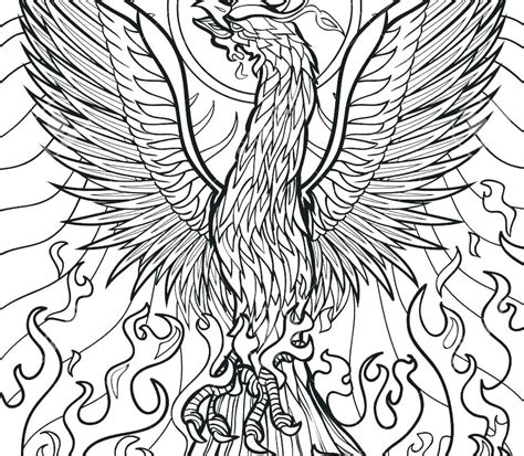 Phoenix Bird Coloring Pages Coloring Pages