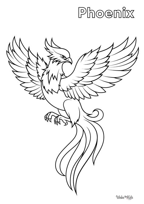 Phoenix Coloring