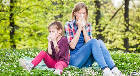 Phoenix allergies today. Tree allergies are a common cause of hay fever symptoms, especially in the early spring. Birch, cedar, and oak trees are the most likely to cause hay fever, but other trees that rely on the wind to spread their pollen around can also contribute. 