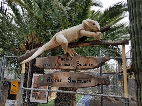 Phoenix herpetological sanctuary. About. The Phoenix Herpetological Sanctuary is a 501 (c) (3) non-profit organization and is a statewide facility that includes a surrender facility, education program, summer … 