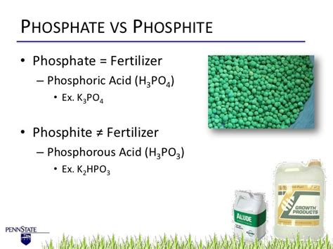 Phosphites Fertilizers for Golf Courses Golf Ventures