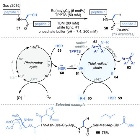 Phosphoranyl Radical Fragmentation Reactions …