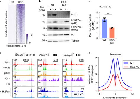 Phosphorylation of histone H3.3 at serine 31 promotes …