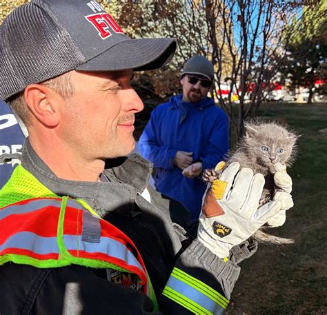 Photo: Poudre firefighter saves kitten from pipe