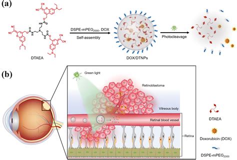 Photocleavage‐based Photoresponsive Drug Delivery†