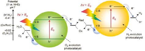 Photoexcitation Rate Process Of A System Of Oscillators