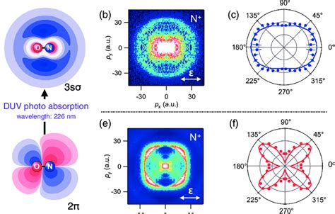 Photoexcitation and ionization in molecular oxygen: Theoretical …