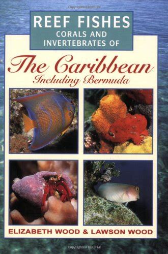 Photographic guide to reef fishes corals and invertebrates of the caribbean including bermuda. - Yamaha outboard 60c 70c 90c service manual.