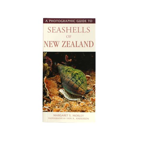 Photographic guide to seashells of new zealand. - Toro procore 648 service repair workshop manual.