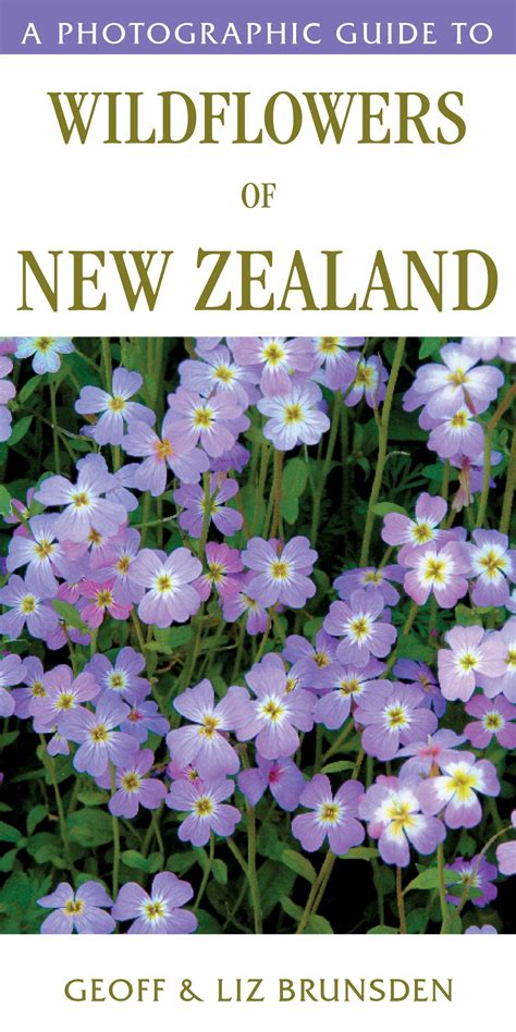 Photographic guide to wildflowers of new zealand. - How to make it in the music business virgin careers guides.