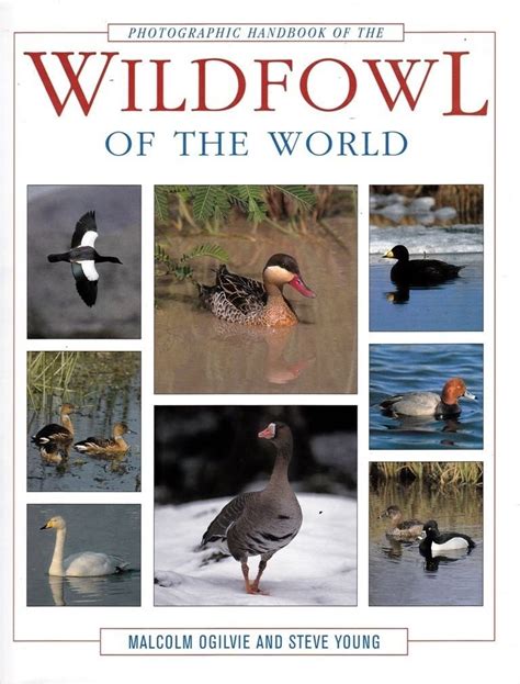 Photographic handbook of the wildfowl of the world. - Nissan marine outboard 1 2 cylinder service manual.