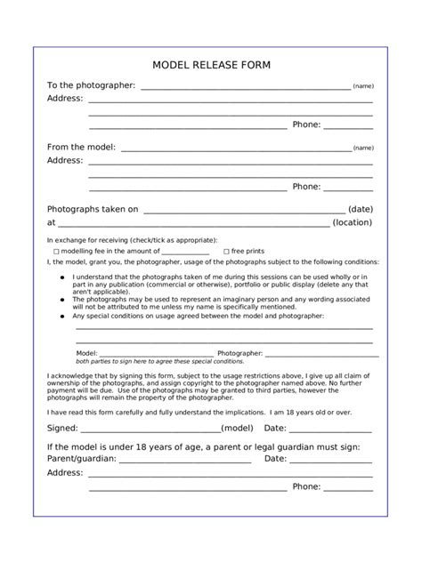 Photography Model Release Form Template bmptitmouse