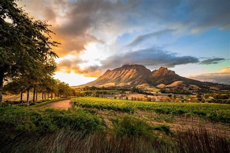 Photography in Stellenbosch - Cylex Local Search