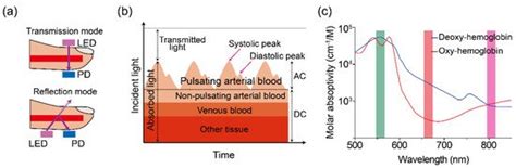 Photoplethysmography Sensors Encyclopedia MDPI